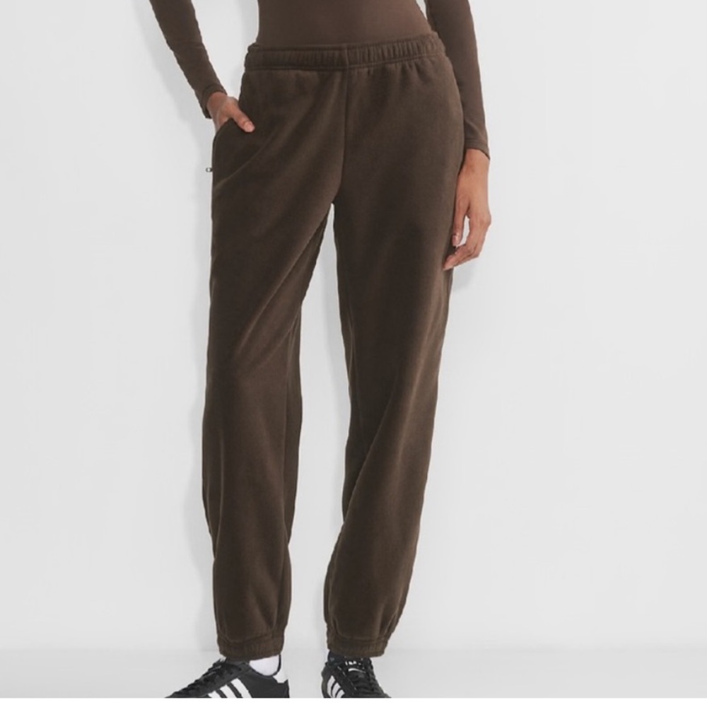 Aritzia Polartec® 200 Basecamp Sweatpant